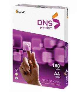 Картон DNS Premium A4 160гр